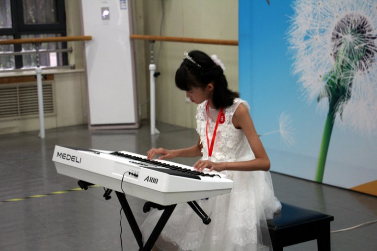 河北省第八届“校外教育杯”系列主题比赛--电子琴